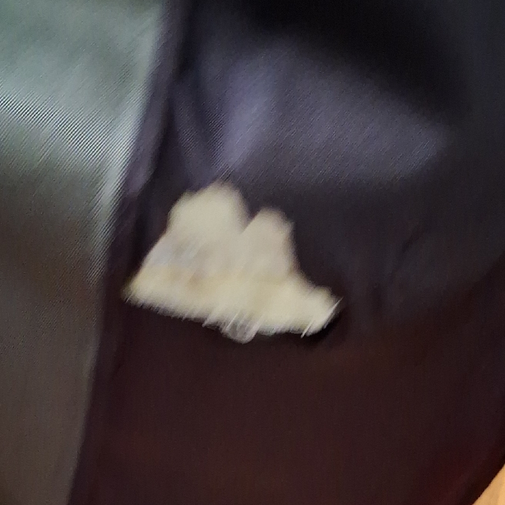 Dior Olive Green Rain-Repellent Trench Coat - Picture 9 of 11